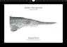 Asian Sturgeons (Acipenseridae): Fish as Art -  - 9781325044283