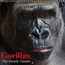 Gorillas . The Gentle Giants (Wall Calendar 2020 300 × 300 mm Square) - STANZER,  Elisabeth - 9781325418121