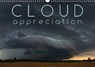 Cloud Appreciation (Wall Calendar 2020 DIN A3 Landscape) - CROSS,  Martina - 9781325423125