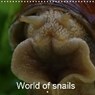 World of snails (Wall Calendar 2020 300 × 300 mm Square) - SCHLÜFTER,  Elken - 9781325443673