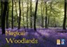 Magical Woodlands (Wall Calendar 2020 DIN A3 Landscape) - JONES,  Ceri - 9781325444540