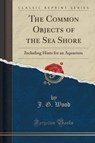 COMMON OBJECTS OF THE SEA SHOR - WOOD,  J. G. - 9781330229859
