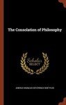 The Consolation of Philosophy - MANLIUS SEVERINUS BOETHIUS,  Anicius - 9781375014090