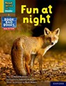 Read Write Inc. Phonics: Fun at night (Yellow Set 5 NF Book Bag Book 8) - Abbie Rushton - 9781382000734