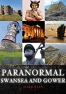 Paranormal Swansea and Gower - Mark Rees - 9781398114876