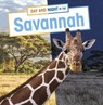 Day and Night in the Savannah - Mary Boone - 9781398241886