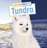 Day and Night on the Tundra - Mary Boone - 9781398241978