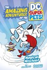 Magical Mischief - Steve Korte - 9781398251755
