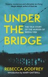 Under the Bridge - Rebecca Godfrey - 9781399811002