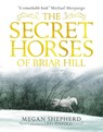 The Secret Horses of Briar Hill - Megan Shepherd - 9781406373554
