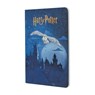 Escape to Hogwarts (Harry Potter Collection) A5 Grid Cahier - Paperblanks - 9781408765708