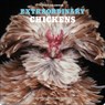 Extraordinary Chickens 2027 Wall Calendar -  - 9781419791666