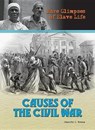 Causes of the Civil War - ROWAN,  Jennifer L. - 9781422244036