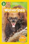 Wolverines - STEWART,  Melissa - 9781426332234