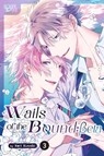 Wails of the Bound: Beta, Volume 3 - Keri Kusabi - 9781427880734