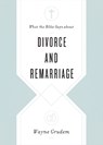 What the Bible Says about Divorce and Remarriage - Wayne Grudem - 9781433568268