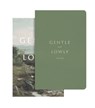 Gentle and Lowly - Dane Ortlund - 9781433580291