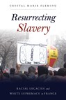 Resurrecting Slavery - Crystal Marie Fleming - 9781439914083