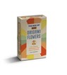 The Box of Mini Origami Flowers -  - 9781446317600