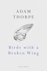 Birds With A Broken Wing - Adam Thorpe - 9781446434079