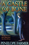A Castle Of Bone - Penelope Farmer - 9781446451953