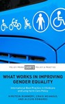What Works in Improving Gender Equality - Kirstein (Sociology Rummery ; Craig (University of Stirling) McAngus ; Alcuin (Department of Health) Edwards - 9781447330486