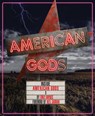 Inside American Gods - Emily Haynes - 9781452156057