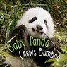 Baby Panda Chews Bamboo - Ben Richmond - 9781454927402