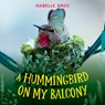 A Hummingbird on My Balcony - Isabelle Groc - 9781459831667