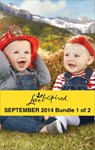Love Inspired September 2014 - Bundle 1 of 2 - Carolyne Aarsen ; Renee Andrews ; Tina Radcliffe - 9781460345740