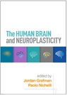 The Human Brain and Neuroplasticity - Jordan (Northwestern University Grafman ; Paolo (University of Modena and Reggio Emilia Nichelli - 9781462562435