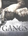 Gangs - Mario L. Hesse ; Christopher J. Przemieniecki ; Carter F. Smith - 9781465286536