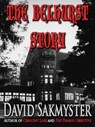 The Belhurst Story - David Sakmyster - 9781466158597