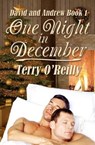 One Night in December - O'REILLY,  Terry - 9781467907507