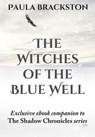 The Witches of the Blue Well - Paula Brackston - 9781472115065