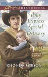 Pony Express Special Delivery (Saddles and Spurs, Book 5) (Mills & Boon Love Inspired Historical) - Rhonda Gibson - 9781474069830