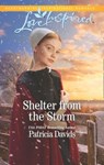 Shelter From The Storm (North Country Amish, Book 1) (Mills & Boon Love Inspired) - Patricia Davids - 9781474097291