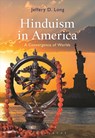 Hinduism in America - JEFFERY D. (ELIZABETH TOWN COLLEGE,  USA) Long - 9781474248457
