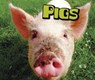 Pigs - DOYLE,  Sheri - 9781474719063