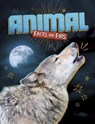Animal Facts or Fibs - RUSSO,  Kristin J - 9781474754545