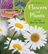 Flowers and Plants of the British Isles - Lucy Beevor - 9781474763905