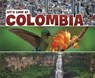 Let's Look at Colombia - Mary Boone - 9781474784634