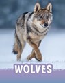 Wolves - Mari Schuh - 9781474794947