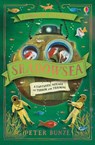 Shadowsea - Peter Bunzl - 9781474964388