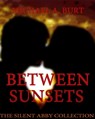 Between Sunsets : The Silent Abby Collection - Michael A. Burt - 9781476171975