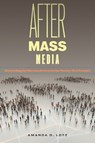 After Mass Media - Amanda D. Lotz - 9781479833887