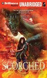 Scorched - MANCUSI ,  Mari - 9781491530078