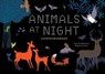 Animals at Night - Anne Jankeliowitch ; Delphine Chedru ; Eve Bodeux - 9781492653196