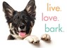 Live. Love. Bark. - Sourcebooks - 9781492657934
