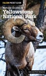 Nature Guide to Yellowstone National Park - SIMPSON,  Ann ; Simpson, Rob - 9781493009671
